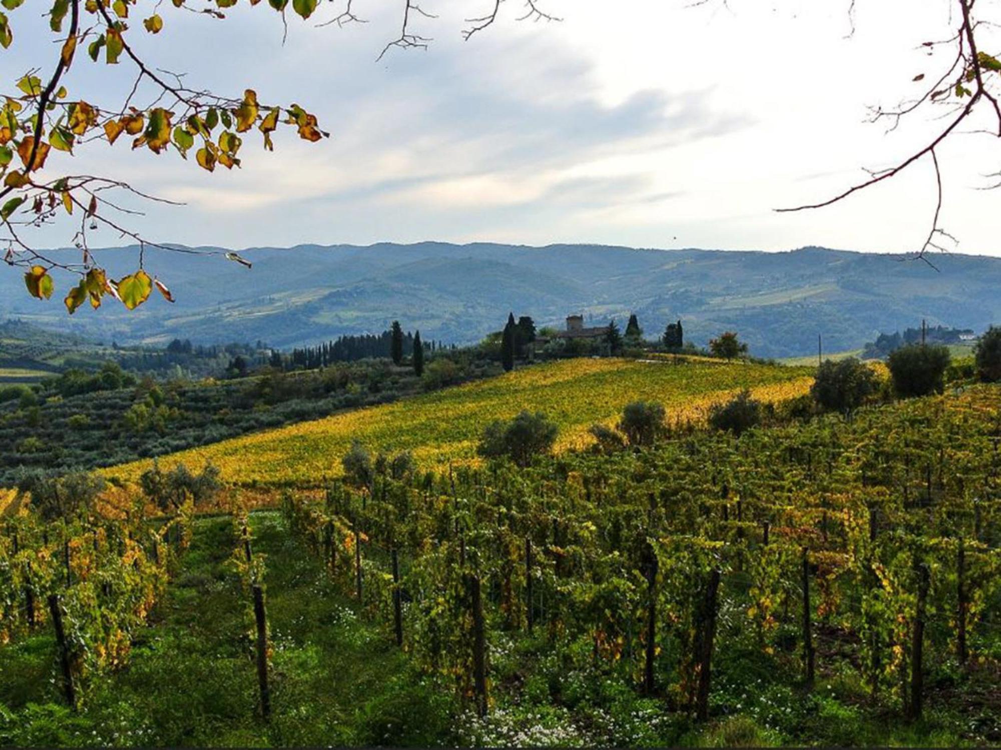 Holiday Home La Torre By Interhome Lucolena in Chianti Luaran gambar